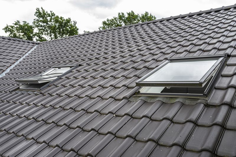 Skylight Screen Replacement detail